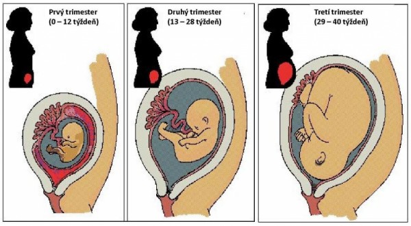 priznaky-tehotenstva